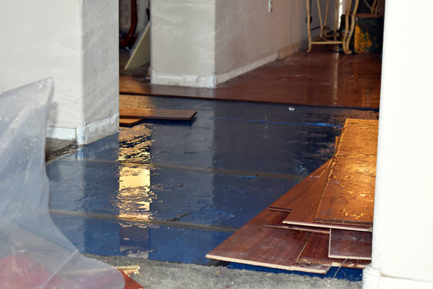 Professional Sewage Cleanup technician working in Renick, MO